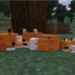 minecraft(5)